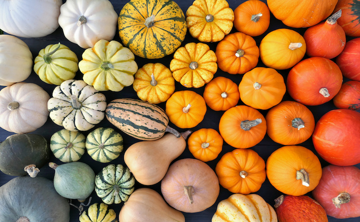 Les bienfaits des courges