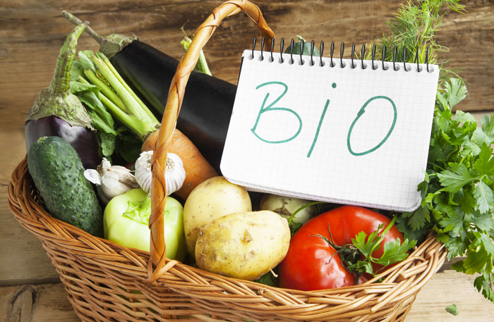bio bio