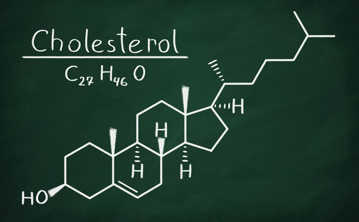 cholestérol