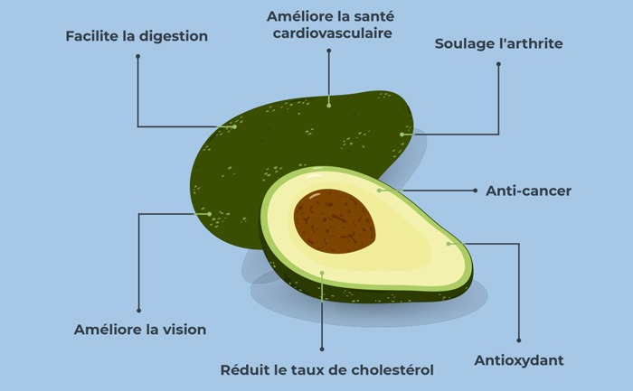 Infographie sur les bienfaits de l'avocat