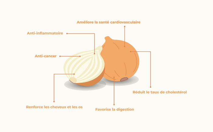 Infographie sur les bienfaits de l'oignon