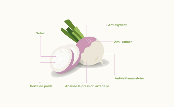 Infographie sur les bienfaits du navet