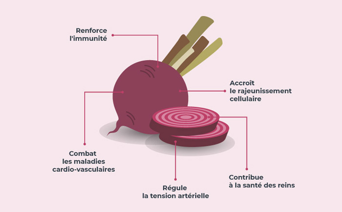 infographie-bettrave