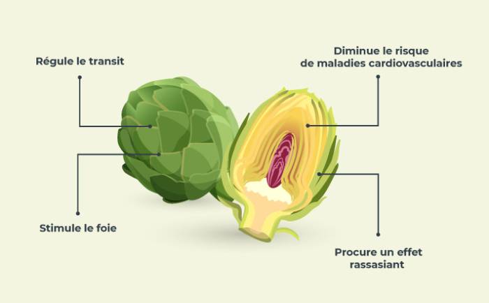 Infographie sur les bienfaits de l'artichaut