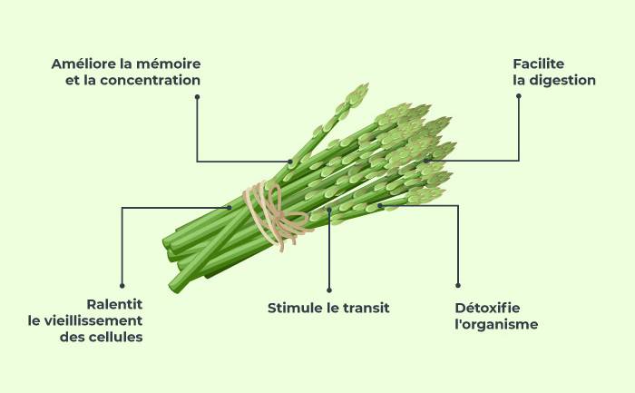 Infographie sur les bienfaits de l'asperge