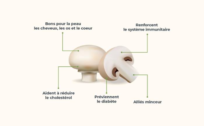 Infographie sur les bienfaits des champignons