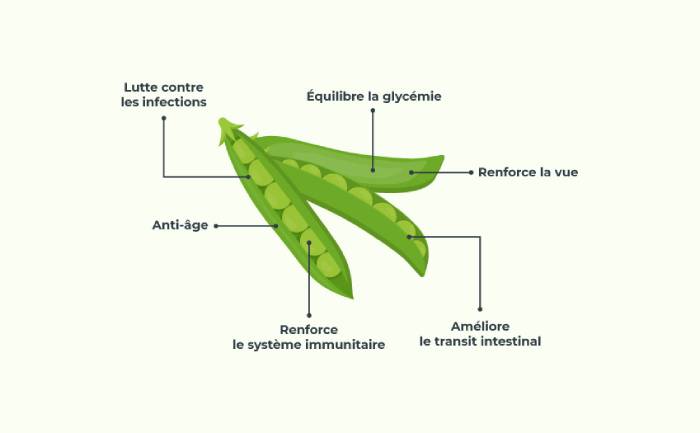 Infographie sur les bienfaits des petits pois