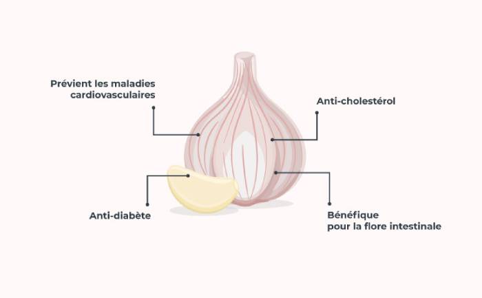 Infographie sur les bienfaits de l'ail