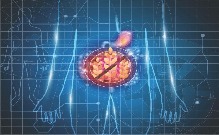 Ingestion de gluten et syndrome de l'intestin irritable : quels rapports ?