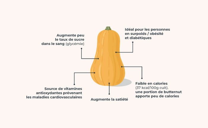 La courgette : bienfaits santé, apports nutritionnels, idées